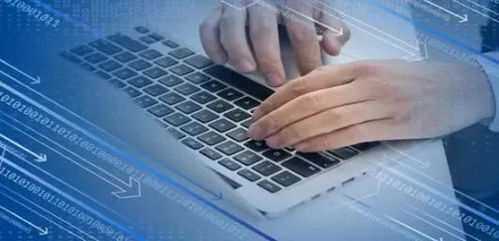 Java與網絡安全 從零基礎入門到精通，就業前景全面解析